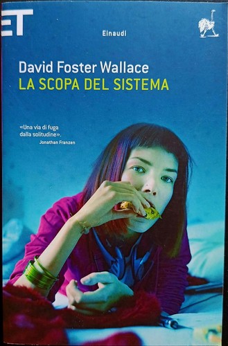 Scopa del sistema david - la,