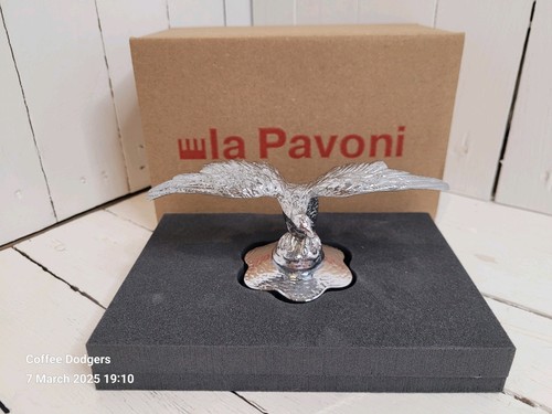 Pavoni aquila cromata - pavoni,