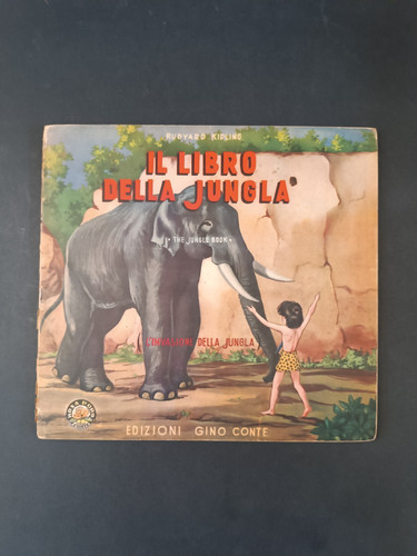 Libro della jungla - libro,