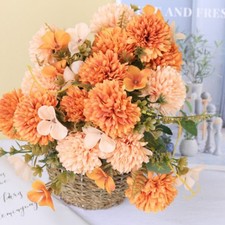 Fiori di Crisantemo
