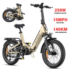 20 pollici 250W ENGWE