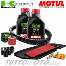 Tagliando KAWASAKI J 300 2015