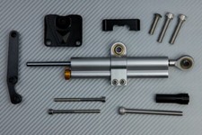 Ammortizzatore Sterzo Silver +