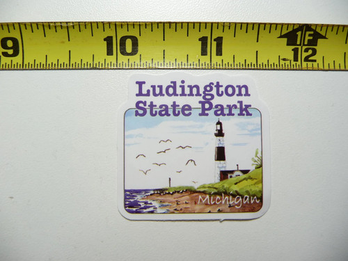Michigan ludington state park - state,
