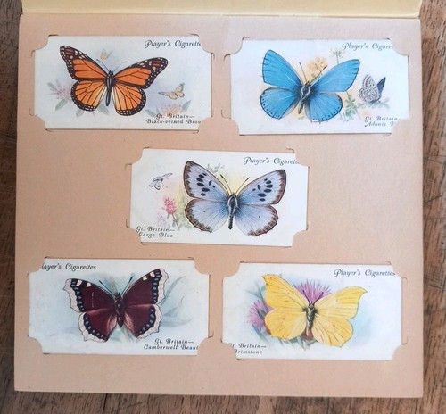 Album figurine butterflies - album,