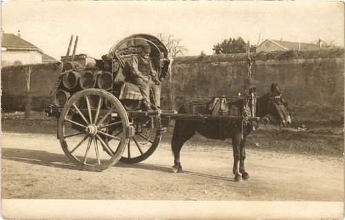 Cpa carro siciliano - siciliano, italy