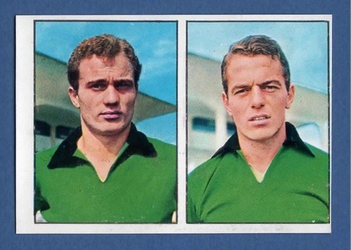 Figurina calciatori panini - figurina,