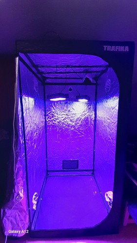 Grow box kit - grow,