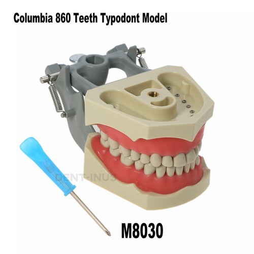 Dental columbia 860 - 860, denti