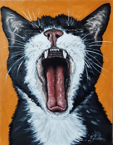 Divertente dipinto gatto