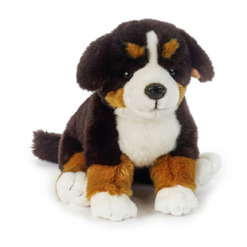 Peluche cane bernese 25 - peluche, cm