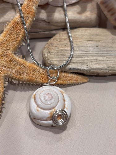 Shiva eye shell - shiva, con
