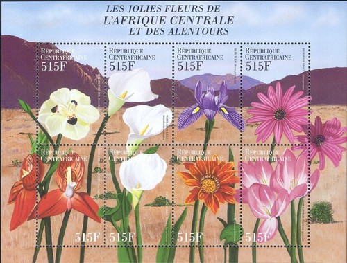 Rep centrafricana 2000 fiori - centrafricana,