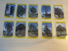 Viacard rara Serie Strade nel
