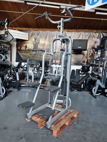Technogym assist chin - assist, dip