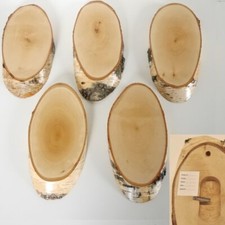 5 Pezzi Di Legno Di Betulla Targhe Per Trofei Cervo Maschio Con Corna Con Base