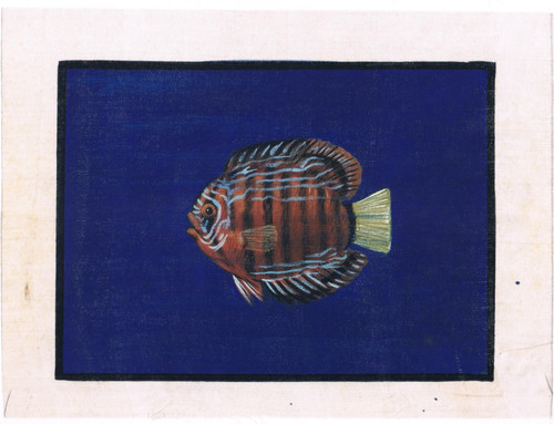 Dipinto fatto mano - mano, pesce
