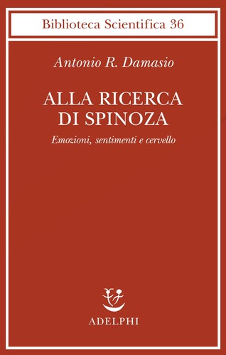 Alla ricerca spinoza - ricerca,