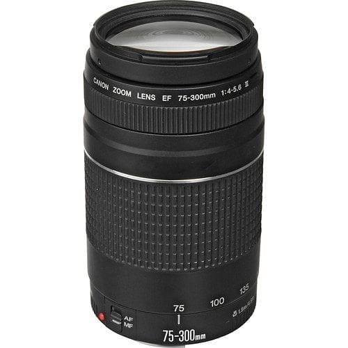 Canon 300mm 5 6 iii - ef, 75-300mm