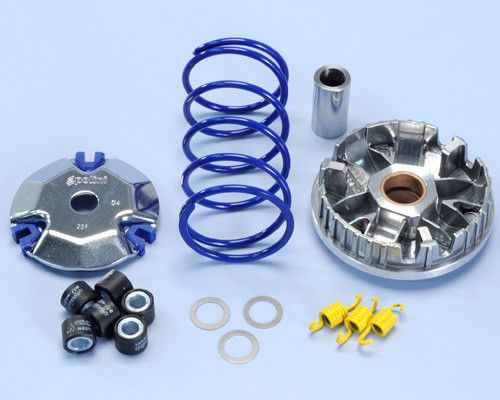 241 698 variatore polini - 241.698,