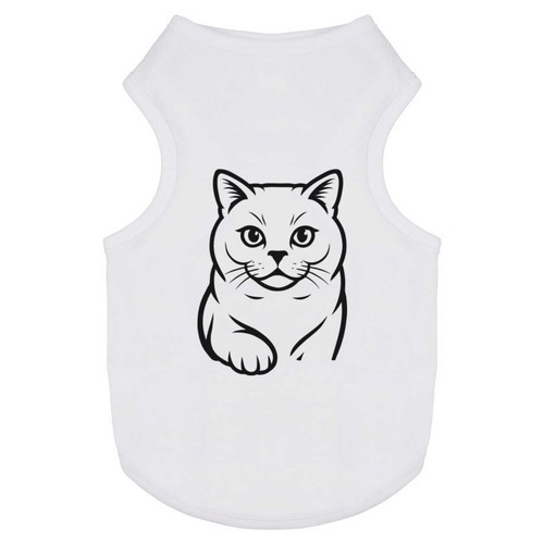 British shorthair cat - shorthair, cat'