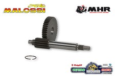 Ingranaggi Rapporti Primari