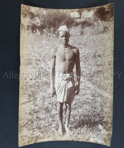 Foto albumen vintage - foto,