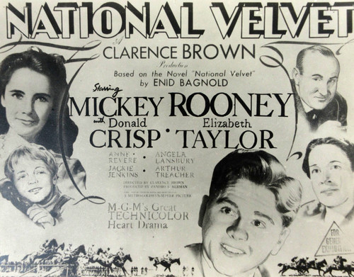 National velvet elizabeth - national,