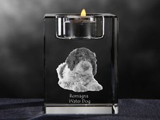 Lagotto Romagnolo, Candelabro