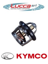 00119113 Termostato Acqua