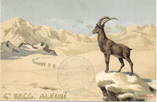 Alpini reggimento timbro - 4°reggimento,