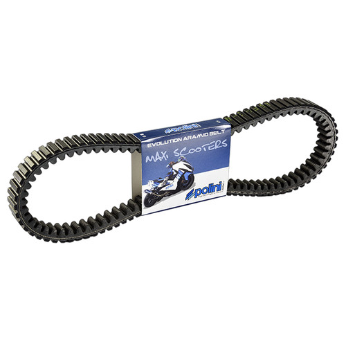 Cinghia trasmissione variatore - cinghia,