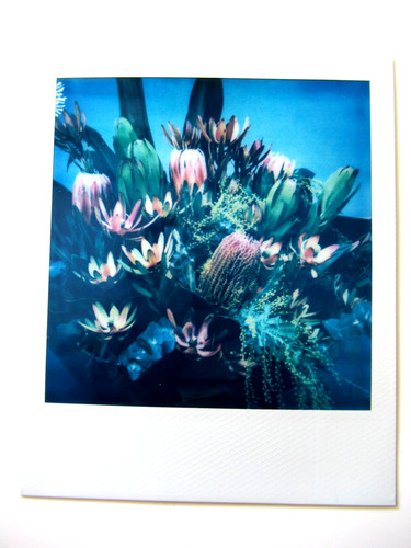 Araki polaroid originale - polaroid,