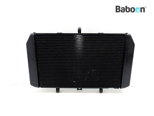 Radiator kawasaki 1000 - radiator,