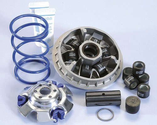 241 694 variatore polini - variatore,