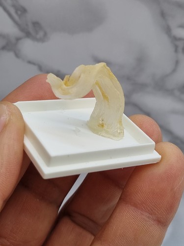 Minerali gesso varietà - minerali◇gesso,