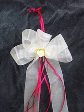 15 esclusivi fiocchi auto