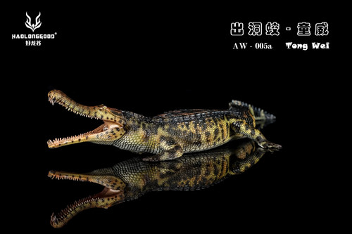 Haolonggood 005a - aw,