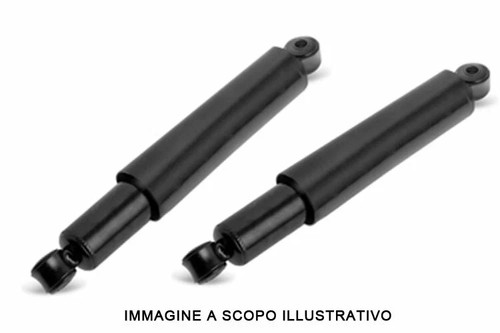 Coppia ammortizzatori - coppia, 2