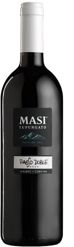 Vintage masi tupungato - vintage, passo
