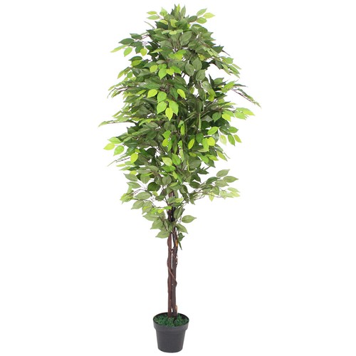 Ficus pianta finta pianta