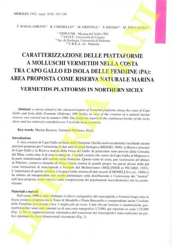 Molluschi vermetidi nella - molluschi,