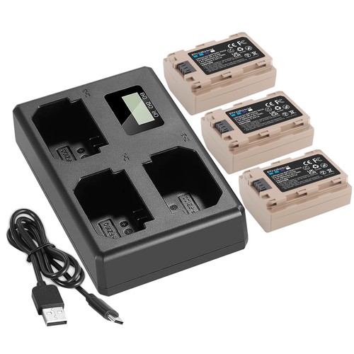 Fz100 batteria e - batteria,