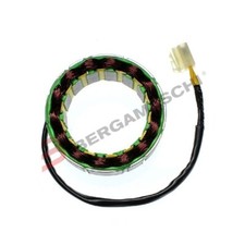 STATORE ELECTROSPORT Moto