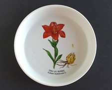 Ciotola piatto porcellana Richard Ginori flora spontanea Giglio rosso 1986