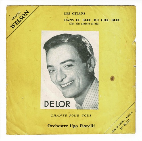 Delor vinyl giri 17cm - 45,
