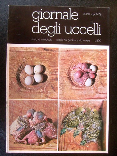 Giornale degli uccelli rivista - degli,