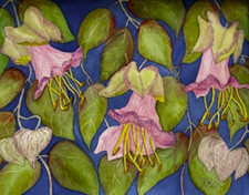 PITTURA ACQUERELLO 11X14 E