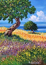 COMPRALO SUBITO  25x35