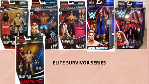 Wwe action figure - wwe,